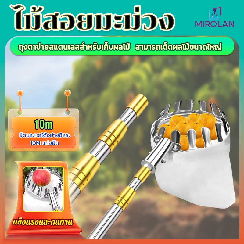 MIROLAN ปลอดภัย ไม้ สอยผลไม้ มืออาชีพ กรรไกรตัดกิ่ง ตะกร้อสอยผลไมั ไม้ ยืดหดได้  ไม้สอยมะม่ว ส่งสินค้างจากรุงเทพ