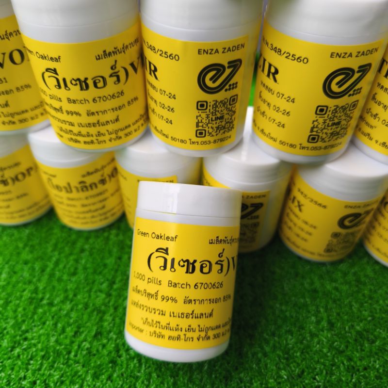 เมล็ดพันธุ์ผักสลัด ชนิดเคลือบ ENZA ZADEN แบ่งบรรจุ 100 เมล็ด - รูปที่ 2