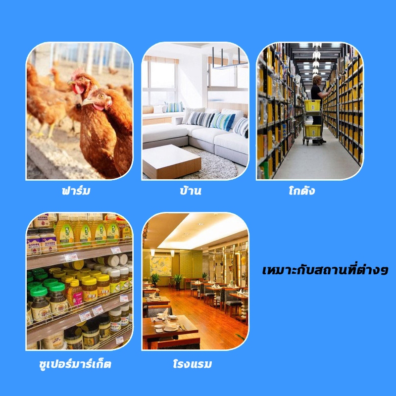 🐀100 ปี ไม่มีหนู 🐀ยาหนู ยาดักหนู ฆ่าหนู ยาฆ่าหนู 80 เม็ด สูตรสิทธิบัตรไทย กำจัดหนูด้วยชีวภาพ ยาเบื่อหนูแห้ง ใช้ได้ทั้งแม - รูปที่ 4