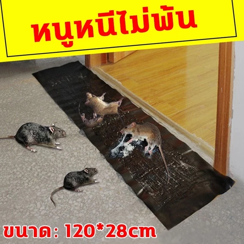 แผ่นกาวดักหนู เหนียวพิเศษ ติดทน แผ่นใหญ่ thumbnail 3