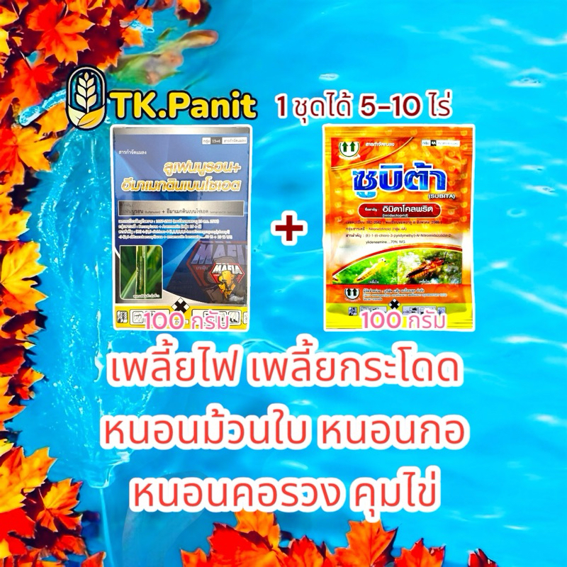 3 พลัง+ เพลี้ย หนอน คุมไข่