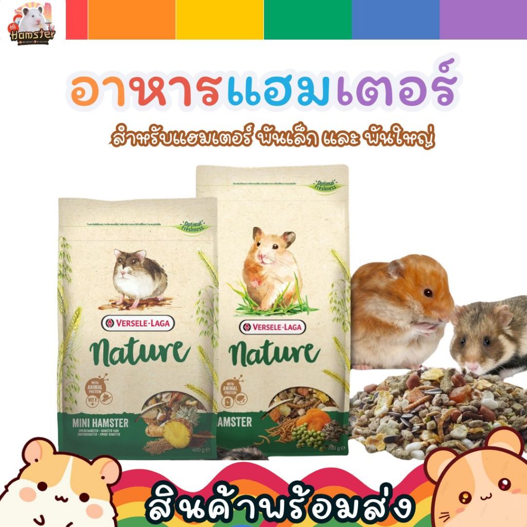 Nature Hamster Mini Hamster และ Nature Snack อาหารหนูแฮมสเตอร์ สำหรับ แฮมสเตอร์ทุกสายพันธุ์