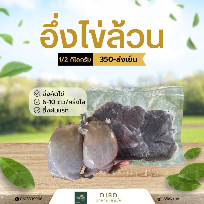 อึ่งไข่ฝนแรก ❗️พร้อมส่ง อึ่งไข่แช่แข็ง 📍อึ่งไข่ฝนแรกล็อตสุดท้ายของปีนี้