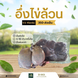 อึ่งไข่ฝนแรก ❗️พร้อมส่ง อึ่งไข่แช่แข็ง ไข่ล้วน ไข่ทะลัก ไข่เ…