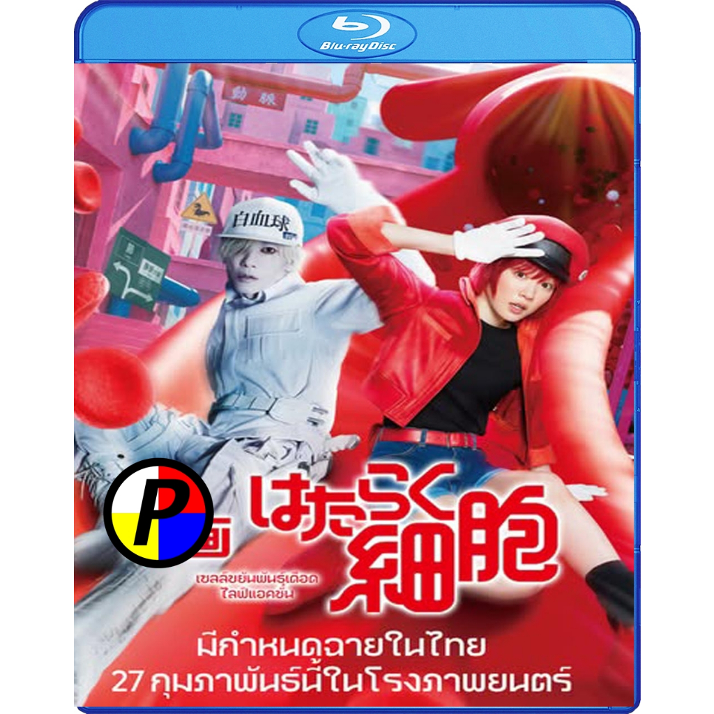 Bluray หนังใหม่ บลูเรย์ Cells at Work Hataraku Saibou เซลล์ขยันพันธุ์เดือด (2024)