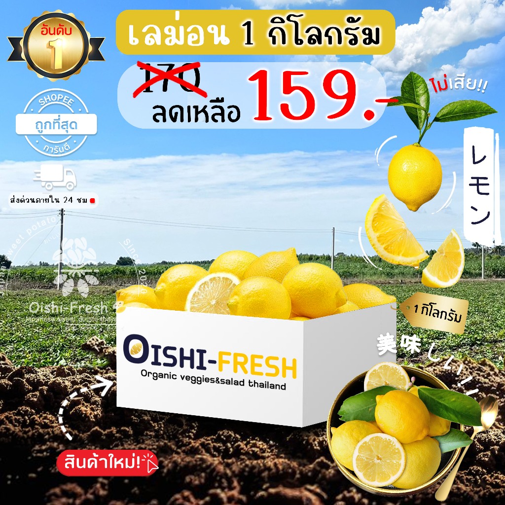 🛒Oishi-Fresh🍋เลม่อน ปลอดสารพิษ 1 กก. รสชาติกรอบ สด ใหม่ ใยอาหารสูง หวานออร์แกนิค เคลมได้ 1-2 วัน