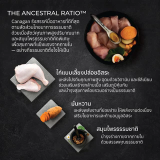 Canagan คานาแกน อาหารแมว สูตร ไก่ ฟรีเรนจ์ ขนาด 375 กรัม