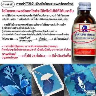 ชุดน้ำยาไซยาโนไทป์ Cyanotype แถมฟรีตัวอย่าง ภาพพิมพ์แสงอาทิตย์ทำเองได้ที่บ้านพร้อมคู่มือ