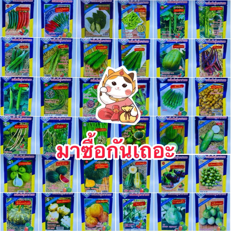 เมล็ดผักซอง OP คัดพิเศษ ตรา3A[ปลีก-ส่ง] ชุดผักกินผล มะระ บวบ ฟัก แตง พริก มะเขือ ถั่ว