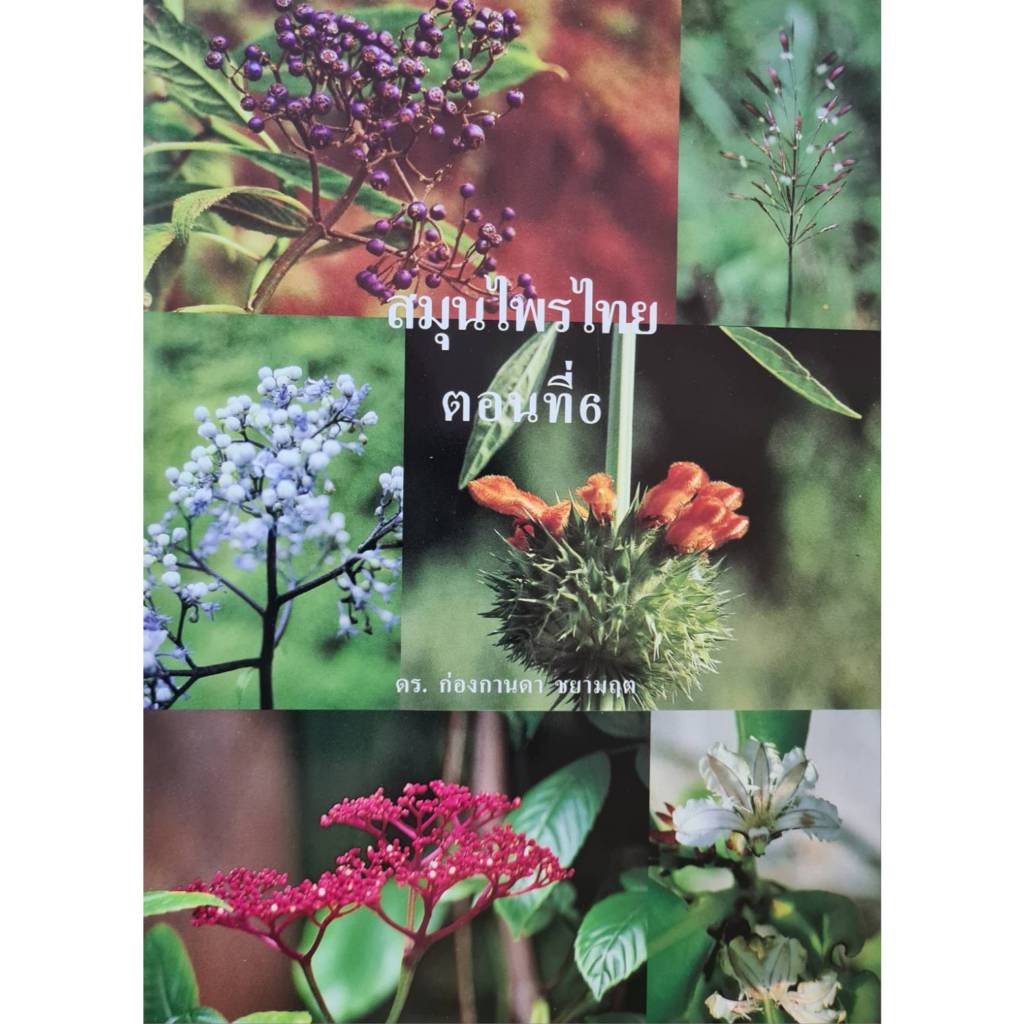หนังสือสมุนไพรไทยตอนที่ 6 รวบรวมข้อมูลพืชที่มีสรรพคุณทางสมุนไพร 79 ชนิด