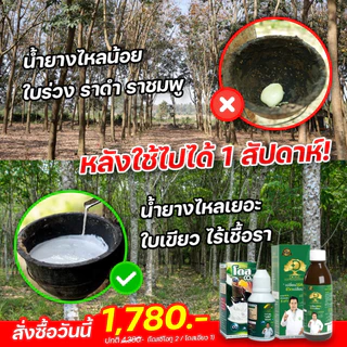 [ร้านค้าบริษัท] หัวเชื้อเพิ่มเปอร์เซ็นยาง ขาวข้น [1ขวด] โดสซีโอทู Doseฮอร์โมนพืช