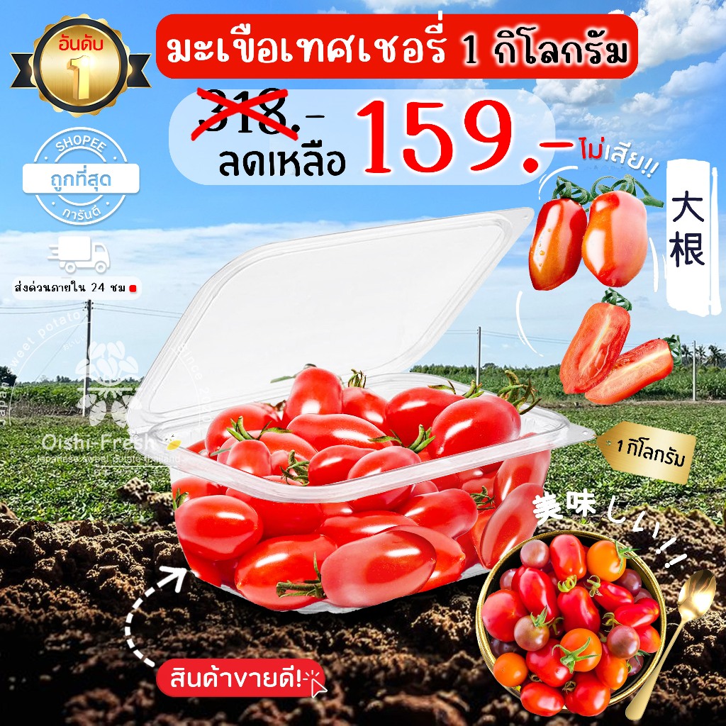 🛒Oishi-Fresh🍅มะเขือเทศเชอร์รี่ญี่ปุ่น ปลอดสารพิษ ปลอดสารพิษ 1 กก. รสชาติกรอบ สด ใหม่ ใยอาหารสูง หวานออร์แกนิค