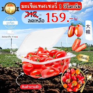 🛒Oishi-Fresh🍅มะเขือเทศเชอร์รี่ญี่ปุ่น ปลอดสารพิษ ปลอดสารพิษ …