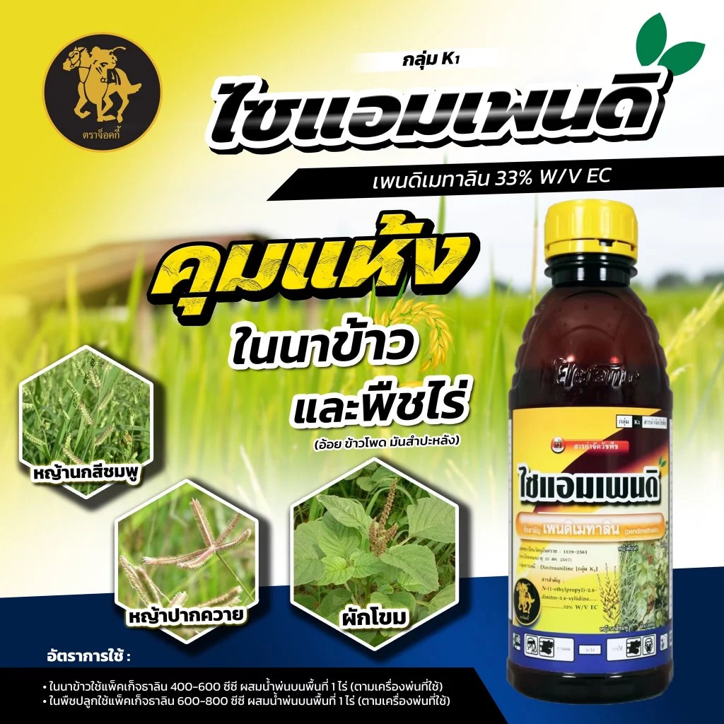 ไซแอมเพนดิ - เพนดิเมทาลิน (1 ลิตร) ยาเหลือง ยาคุมแห้ง นาหว่านแห้ง เรดด็อกคุม สารกำจัดวัชพืชใบแคบและใบกว้าง ปลอดภัยต่อพืช