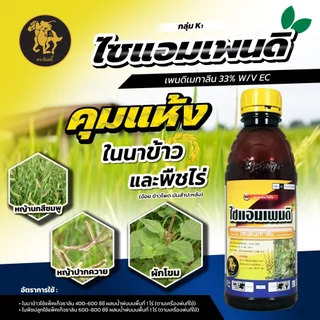 ไซแอมเพนดิ - เพนดิเมทาลิน (1 ลิตร) ยาเหลือง ยาคุมแห้ง นาหว่านแห้ง เรดด็อกคุม สารกำจัดวัชพืชใบแคบและใบกว้าง ปลอดภัยต่อพืช