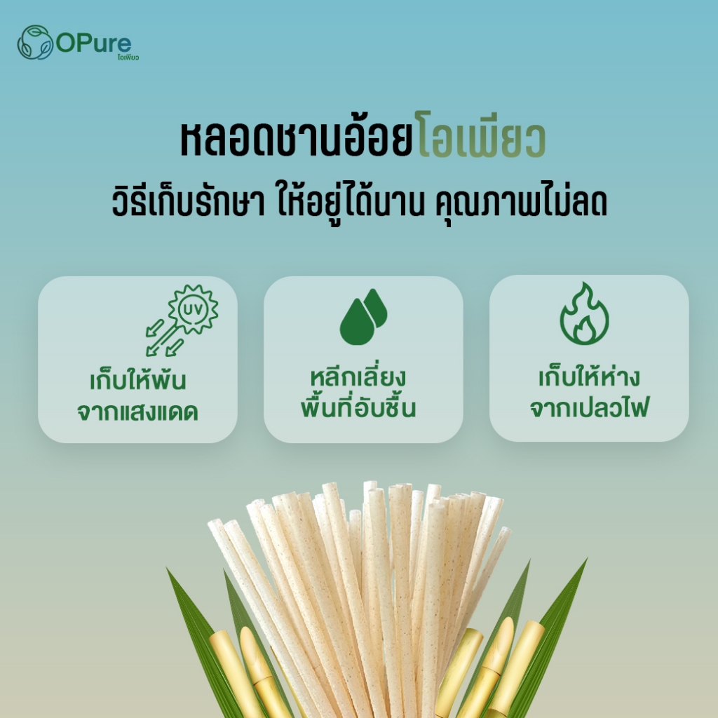 (100 เส้น) หลอดตรงชานอ้อย โอเพียว 6 มิล ยาว 21 ซม. *ห่อกระดาษ OPure หลอดรักษ์โลก ย่อยสลาย (ขายแพ็ค) รูปที่ 2