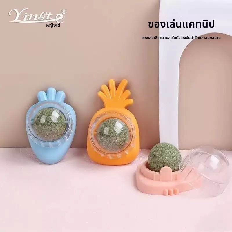 แคทนิปบอล สมุนไพรออร์แกนิค น้องแมว สัตว์เลี้ยง สมุนไพรออร์แกนิค แมว ลูกบอลเลีย เพลิดเพลิน อารมณ์ดี ลูกบอลแมว สัตว์เลี้ยง