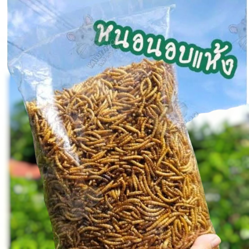 หนอนนก อบแห้ง ขนาด 100g. และ 50g. สำหรับเม่นแคระ ชูก้าไรเดอร์ เบียดดราก้อน หนูแฮมเตอร์