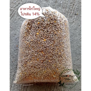 อาหารไก่ใหญ่ อาหารไก่เมือง โปรตีน 14% แบ่งขาย 1 กิโลกรัม ใส่ถุงซิปล็อค