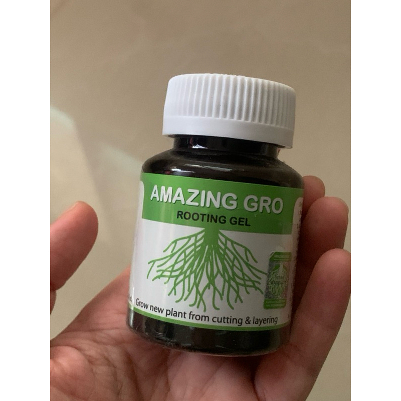 เจลเร่งราก Amazing gro ดีงามบอกต่อ #เจลเร่งราก