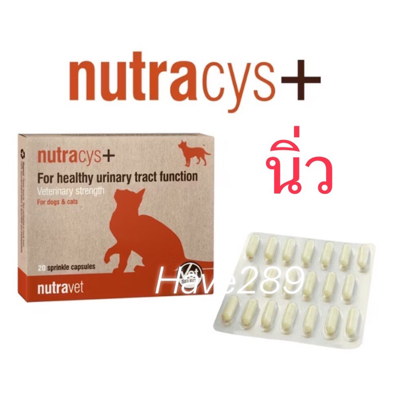 Nutracys+ [แท้💯] นิ่วแมว-สุนัข อาหารเสริมดูแลระบบทางเดินปัสสาวะ สำหรับสุนัขและแมว 20 เม็ด