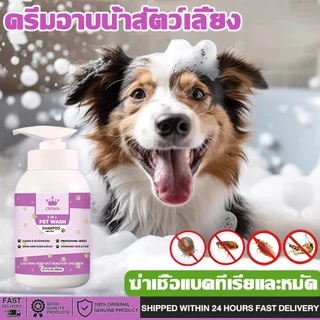 แชมพูสุนัข แชมพูแมว หอมนาน แก้คัน สำหรับสัตว์เลี้ยง แชมพูอาบน้ำหมา แชมพูอาบน้ำสุนัข แชมพูอาบน้ำแมว Pet Dog