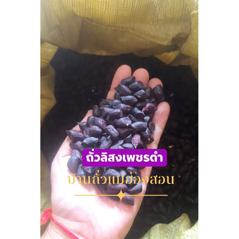 เมล็ดพันธุ์ถั่วลิสงเพชรดำ (ดิบแห้ง) ปลูกได้ งอกได้ดี98% ใช้ทำอาหารได้ปลอดภัยจากสารเคมี