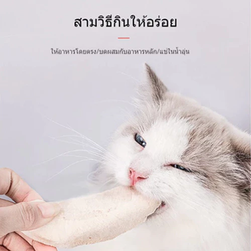 ขนมแมว เนื้ออกไก่ฟรีซดราย 20g thumbnail 9