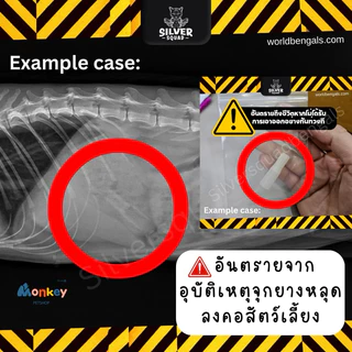 ที่ป้อนยาแมว สุนัข ได้ทั้งยาเม็ดและยาน้ำ จุกยางไม่หลุด Medication dispenser ไซริงค์ช่วยป้อน Monkey