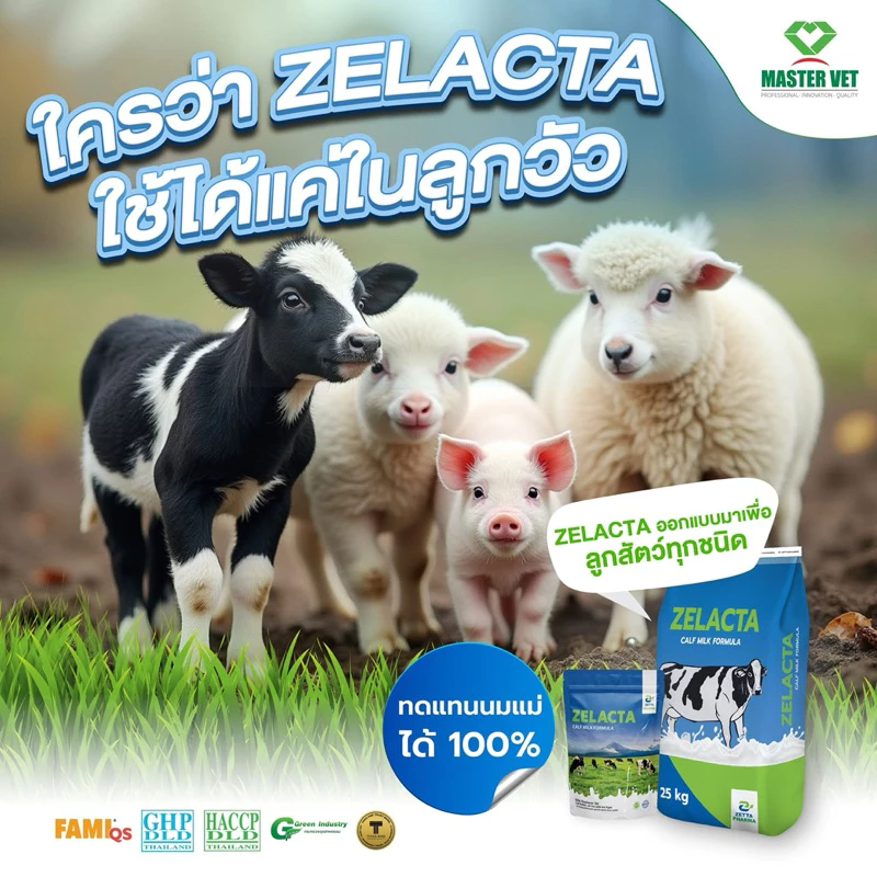 นมผงสำหรับลูกสัตว์ ZELACTA ขนาด 800กรัม thumbnail 4