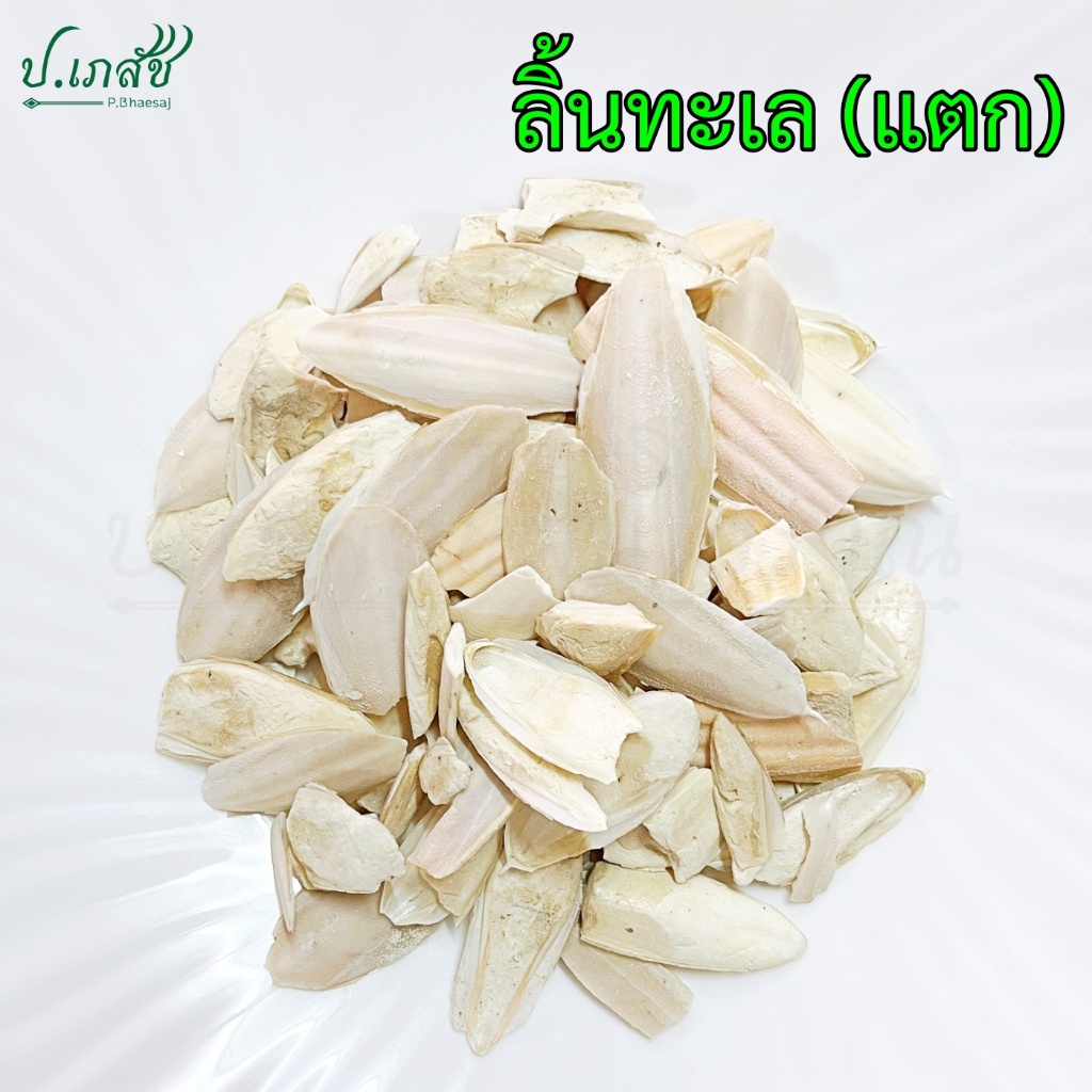 ลิ้นทะเล แตก คละไซส์ [50 / 100 กรัม] ลิ่นทะเล กระดองหมึก กระดองปลาหมึก