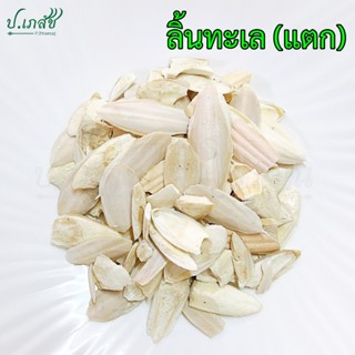 ลิ้นทะเล แตก คละไซส์ [50 / 100 กรัม] ลิ่นทะเล กระดองหมึก กระ…