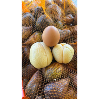 สละอินโดออร์แกนิคแท้พร้อมส่ง เป็นสวนของที่ร้านเอง รับประกันค…