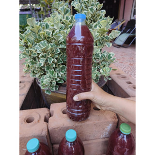 จุลินทรีย์สังเคราะห์แสง (หัวเชื้อ) 1 ขวด ขนาด 1.5 ลิตรสูตรเข…