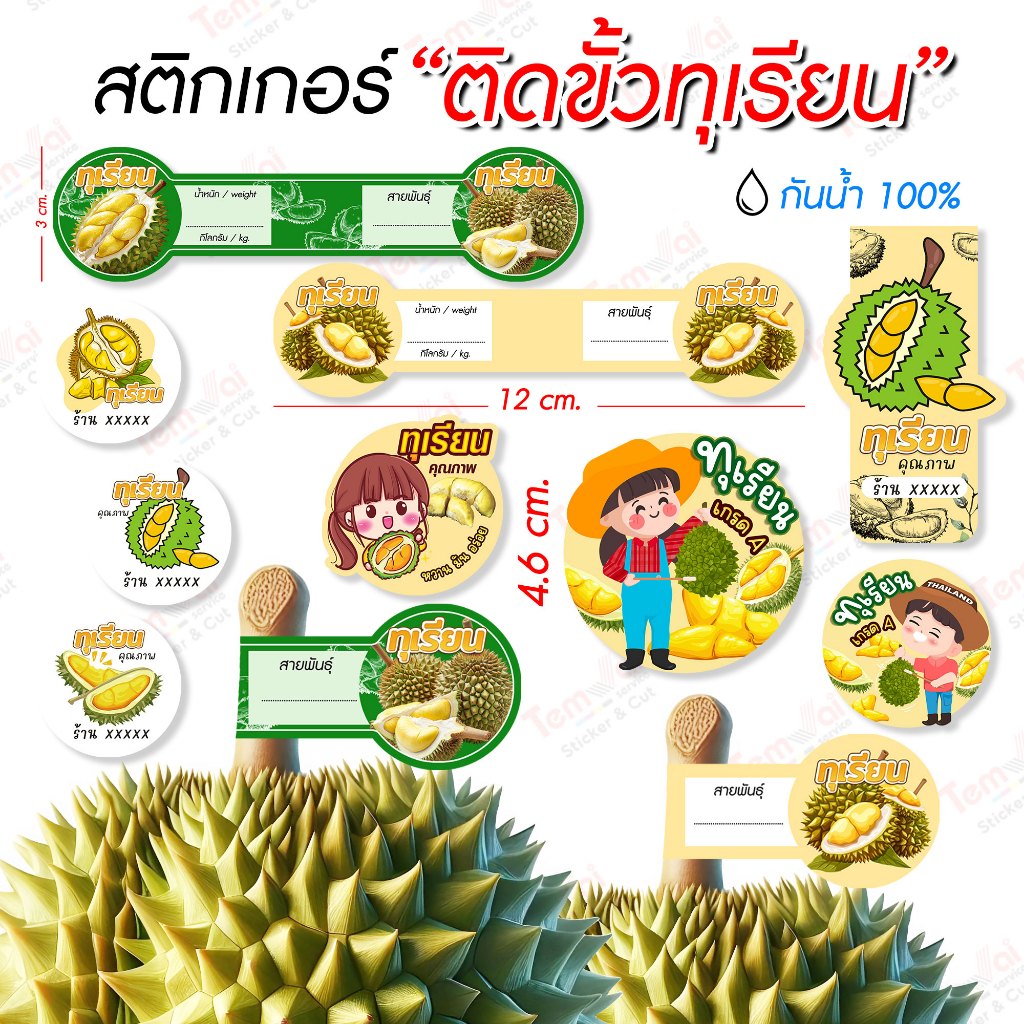 สติ๊กเกอร์ทุเรียน ติดขั้วกล่อง ทุเรียน PP กันน้ำ 100% 💦 สายคาดบรรจุภัณฑ์ สีสด คมชัด