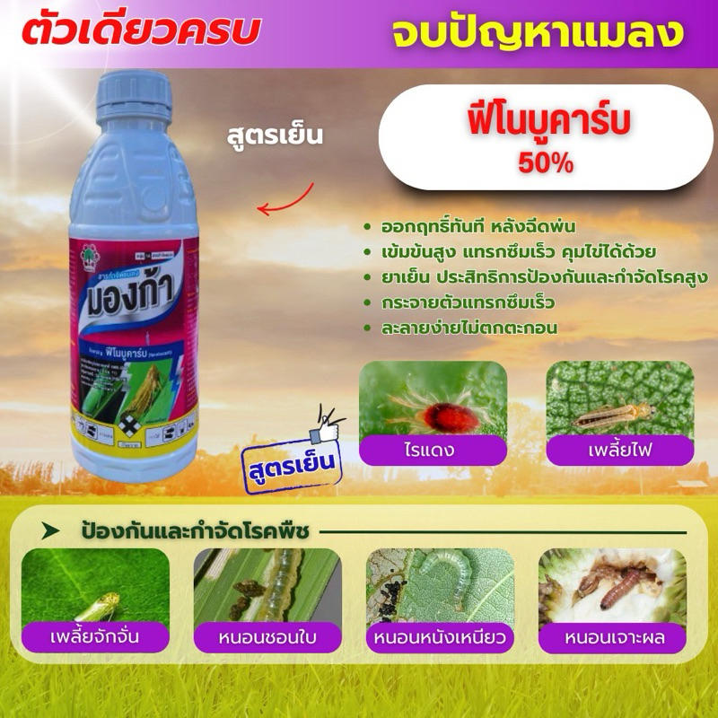 มองก้า ฟีโนบูคาร์บ 50% สูตรเย็น น้ำฟ้า สูตรพิเศษ เพลี้ยกระโดด เพลี้ยอ่อน เพลี้ยจักจั่น แมลง หนอน
