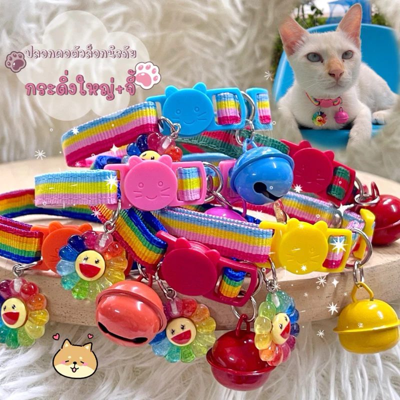 (ส่งด่วนได้🔥)(L12)(สีไหนพันธุ์อะไรใส่ก็น่ารัก)ปลอกคอแมวตัวล็อกนิรภัย กระดิ่งใหญ่+จี้ดอกไม้