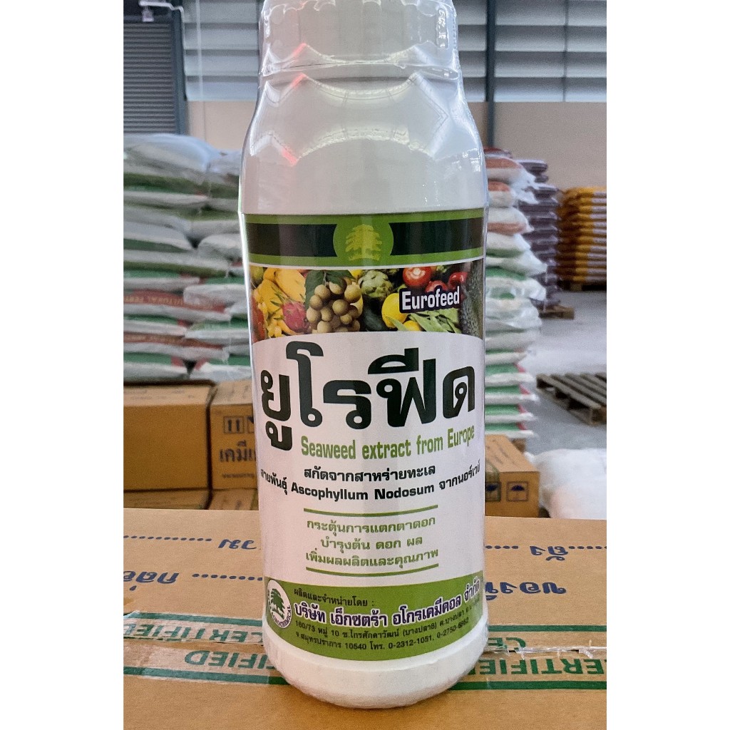 ยูโรฟีด (1ลิตร) อะมิโนสาหร่าย กระตุ้นการแตกยอดใหม่