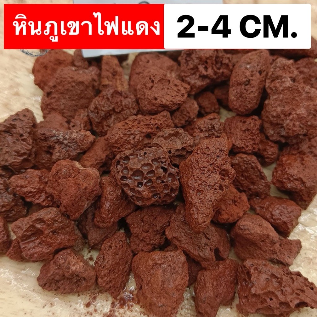 หินภูเขาไฟลาวา หินลาวาแดง หินลาวาแดง (Lava Stone) | ผสมดินปลูก โรยหน้ากระถาง ใส่บ่อปลา
