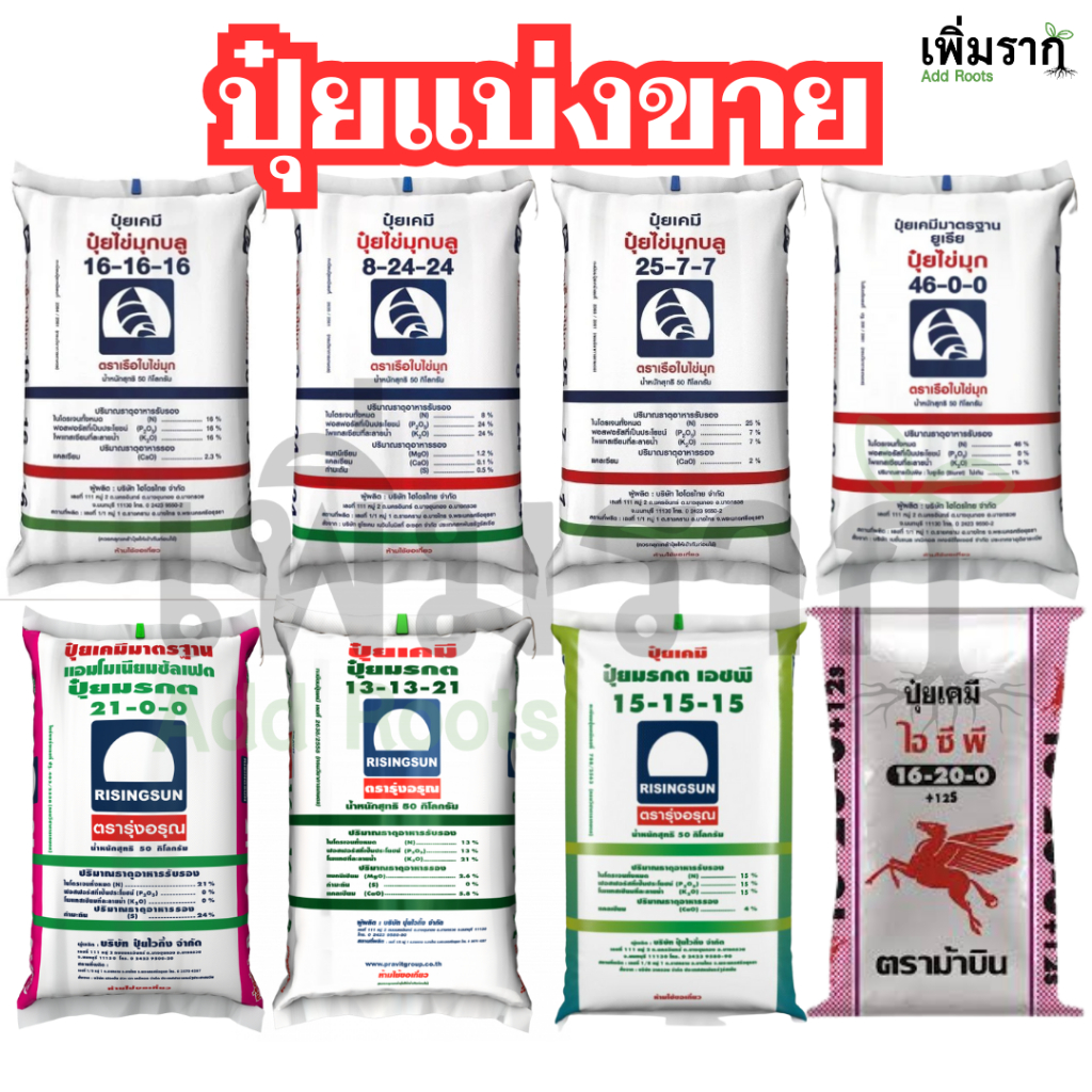 ปุ๋ยแบ่งขาย สูตรยอดนิยม ปุ๋ย16-16-16 / ปุ๋ย46-0-0 / ปุ๋ย8-24-24 / ปุ๋ย15-15-15 / ปุ๋ย25-7-7 / ปุ๋ย21