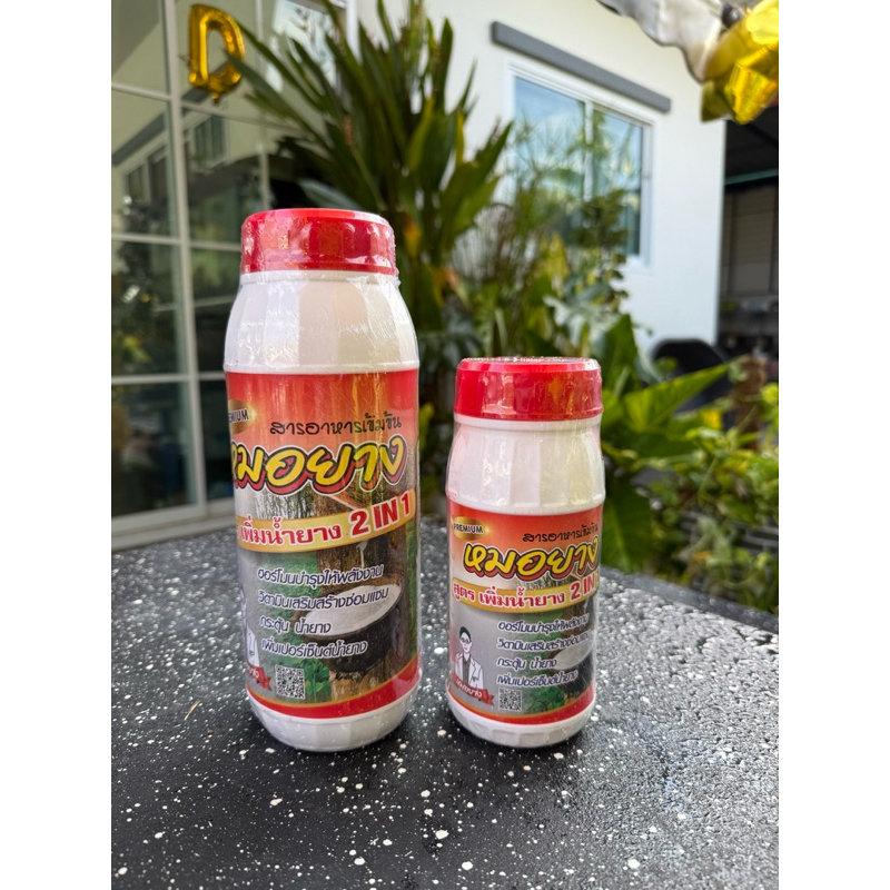หมอยาง ฝาเเดง 2in1 (พรีเมี่ยม)