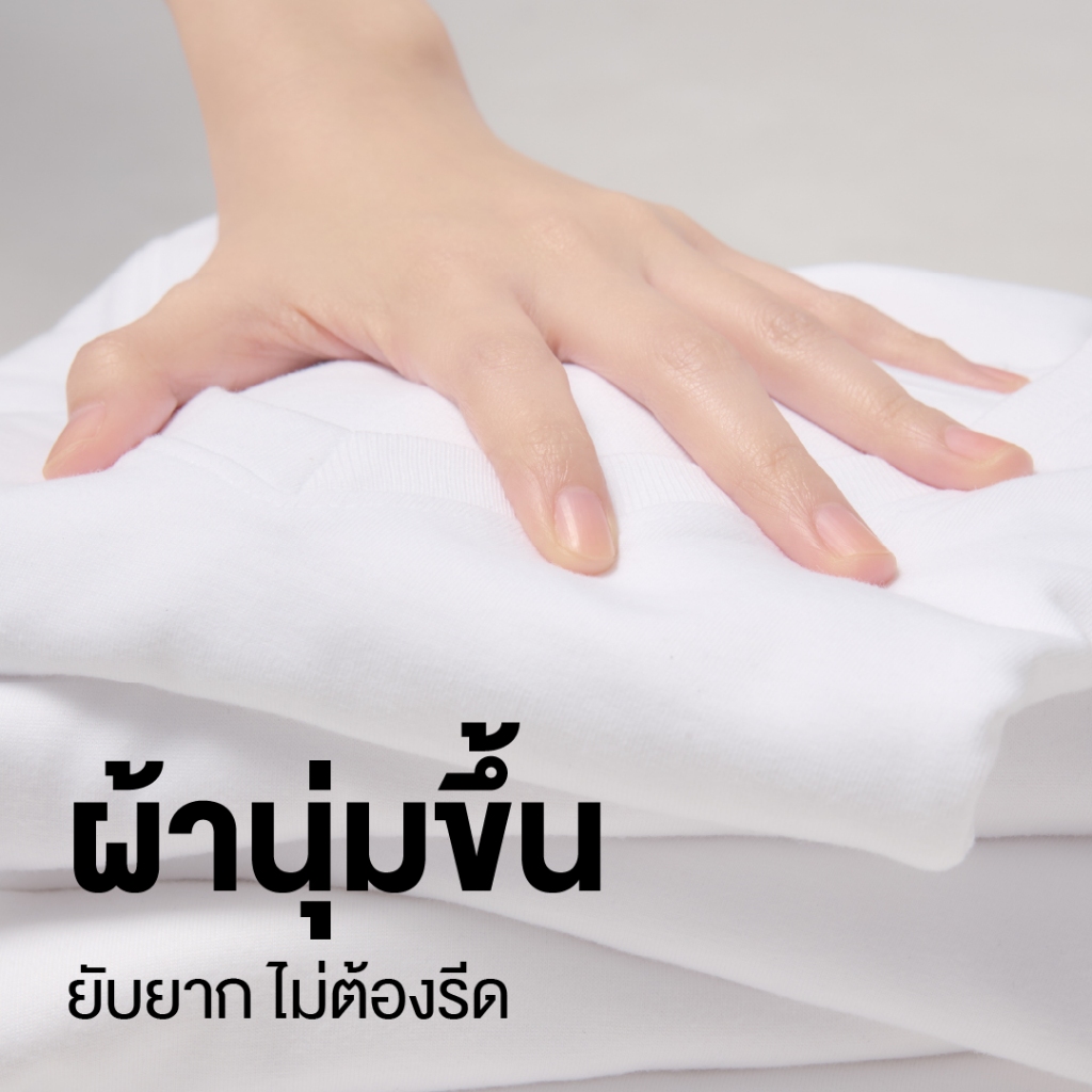 รูปภาพ 2