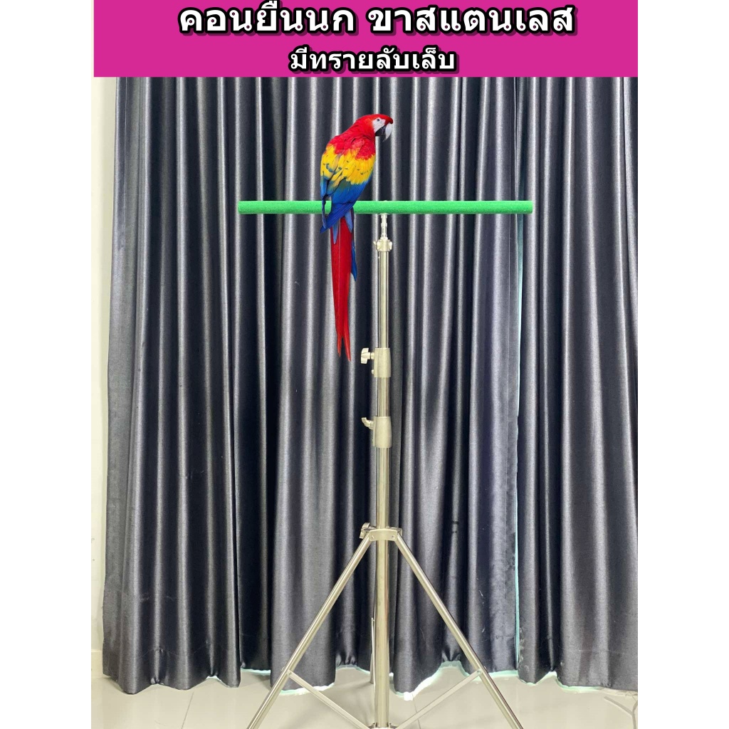 คอนยืนนก*ขาสแตนเลส* คอนนกยืนมีขาตั้ง ใช้ฝึกนกบินอิสระ ปรับความสูงได้ เหมาะกับนกทุกชนิด ใช้ฝึกบินอิสระ ราคา ถูกที่สุด ดีลบีเคเค