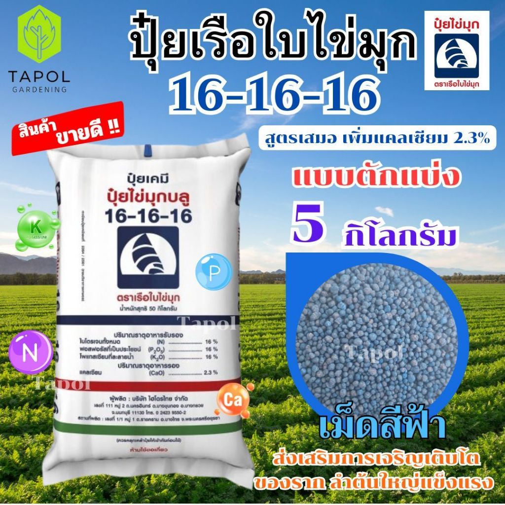 ปุ๋ยเรือใบไข่มุก สูตร 16-16-16 ขนาด 5 กิโลกรัม บำรุงต้น ดอก ใบ เหมาะกับพืชผัก พืชผล ไม้ประดับ