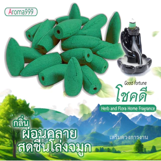ไซส์ใหญ่ AROMA999 41กลิ่นหอมผ่อนคลาย กำยานน้ำตก พรีเมี่ยม ควันเยอะกว่ารุ่นเล็ก มีให้เลือกหลายกลิ่น