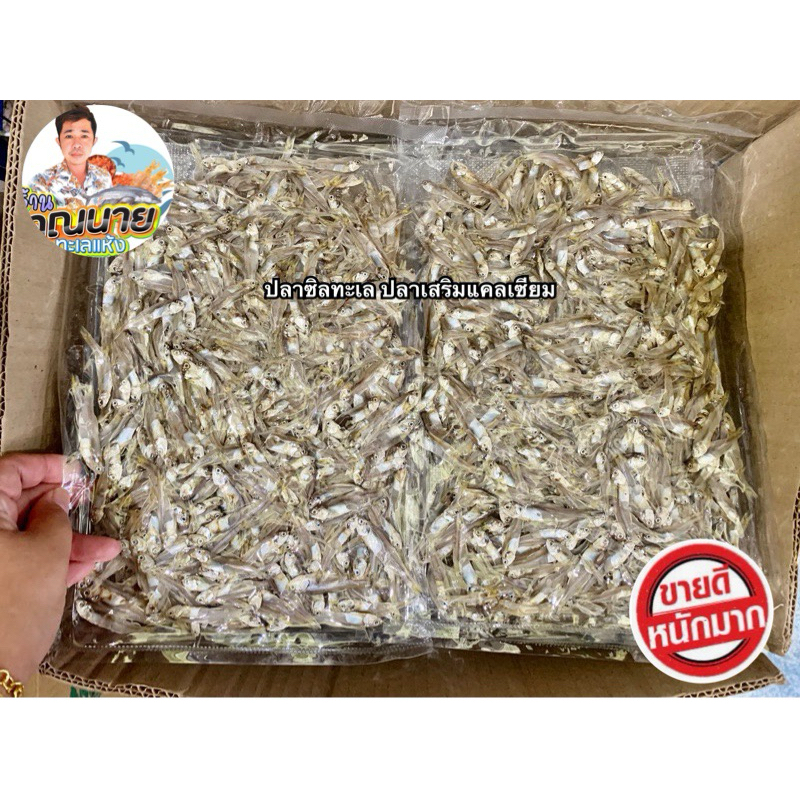 ปลาซิล ปลาฝอยทะล เสริมแคลเซียม 300 -1,000กรัม