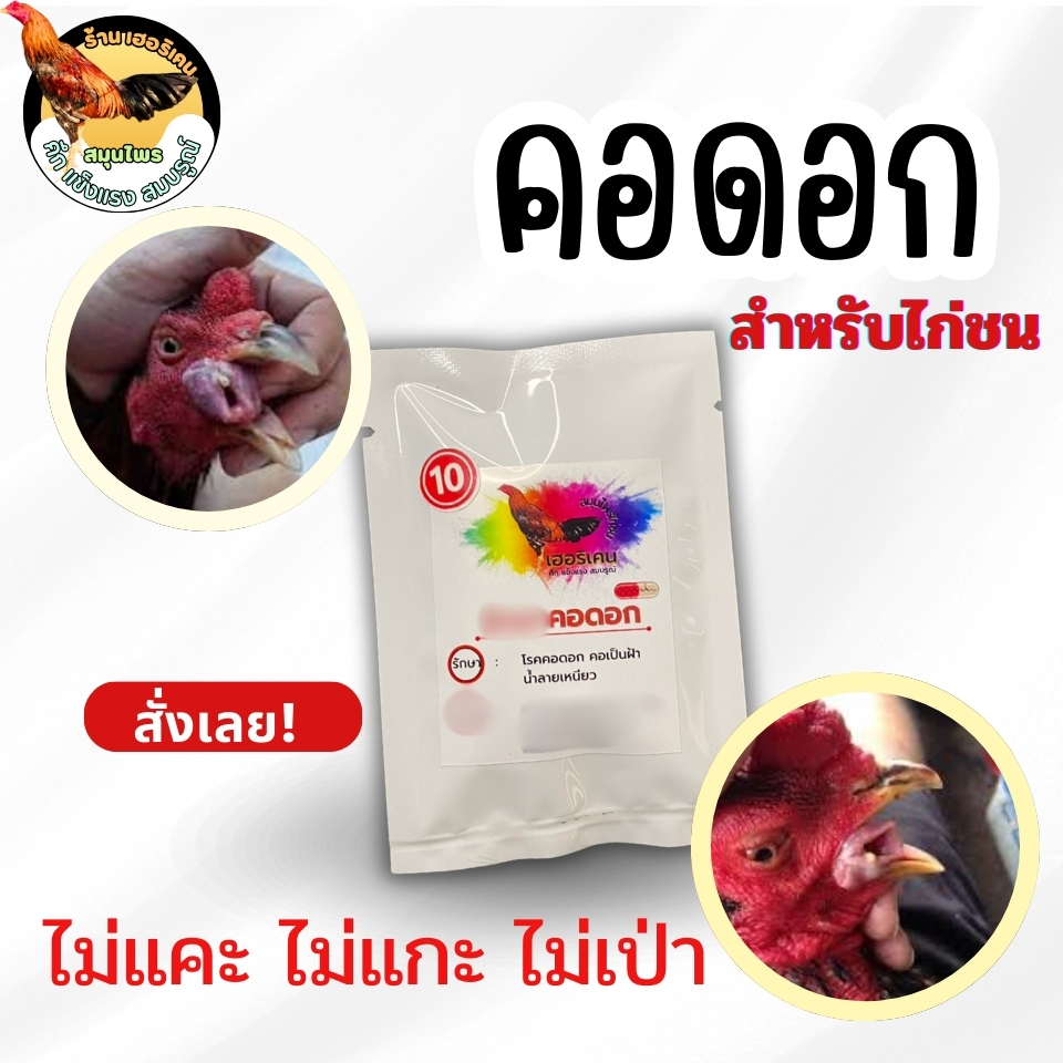 คอฝ้า คอครอก คอดอกไก่ชน มี 2 ขนาด 7 เม็ด 10 เม็ด