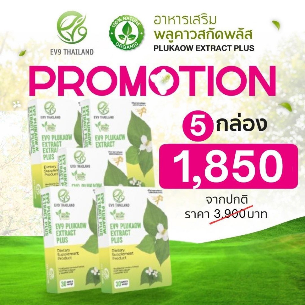 .[9.9 ] EV9​ Plukaow Extract Plus พลูคาว 5 กล่อง  เสริมภูมิคุ้มกัน ต้านอนุมูลอิสระ