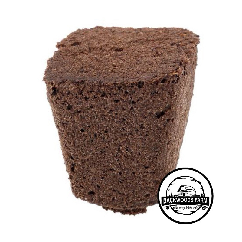 Root Riot ของแท้ 100% สำหรับปักชำและเพาะเมล็ด ขนาด 1 cubes