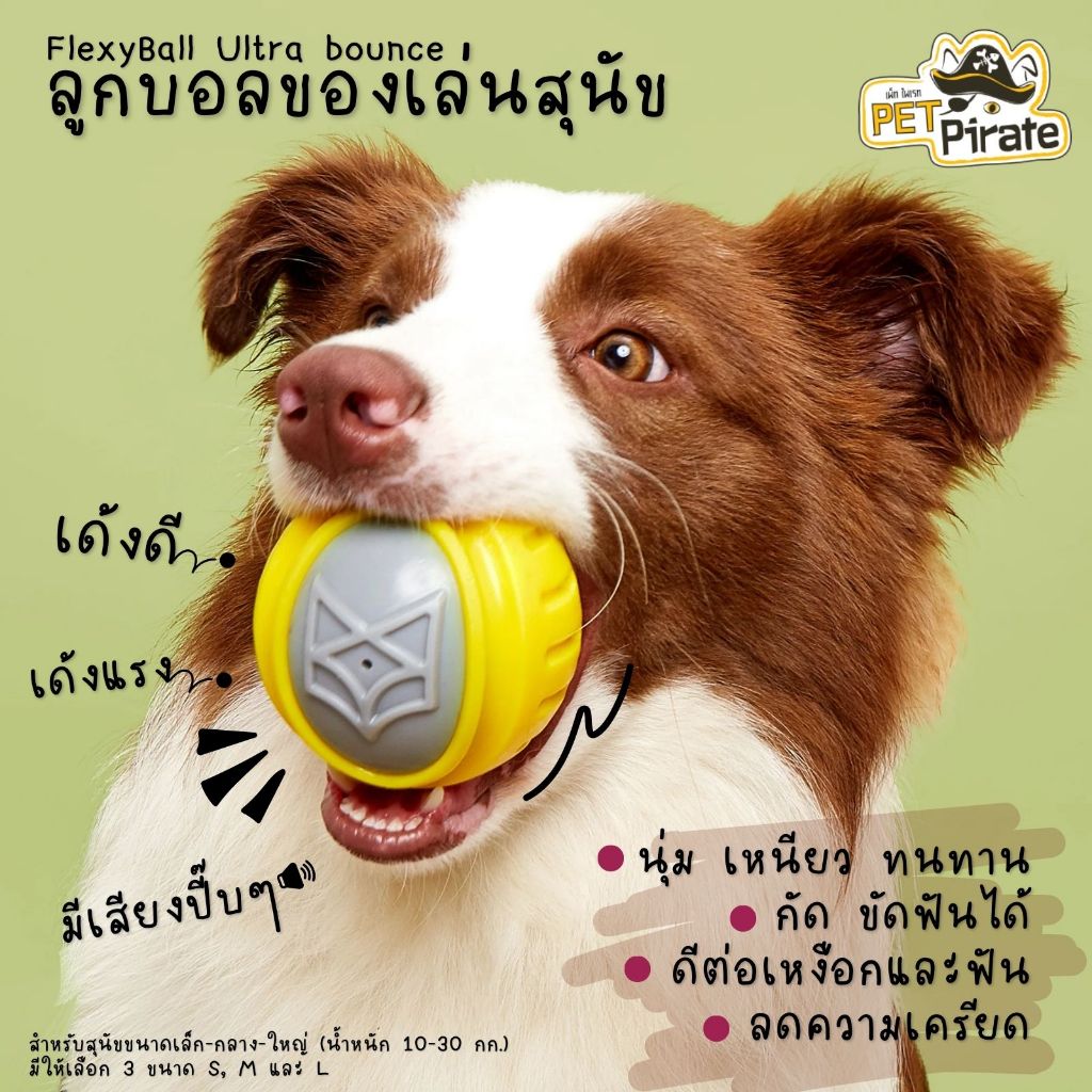 FOFOS FlexyBall Ultra bounce ลูกบอลของเล่นสุนัข นุ่ม เหนียว ทนทาน  ดีต่อเหงือกและฟัน มี 3 ไซซ์